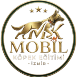 izmir-mobil-kopek-egitim-hizmetleri-logo izmir-mobil-kopek-egitim-hizmetleri-logo